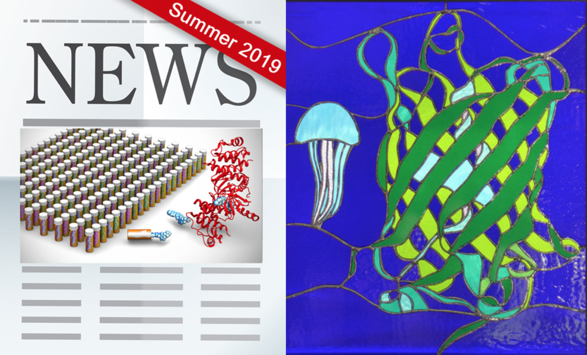 RCSB PDB News Image