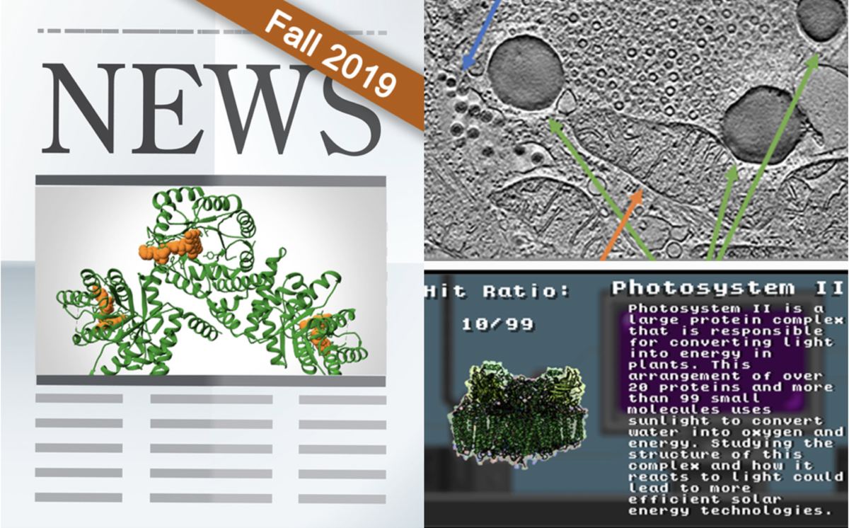 RCSB PDB News Image