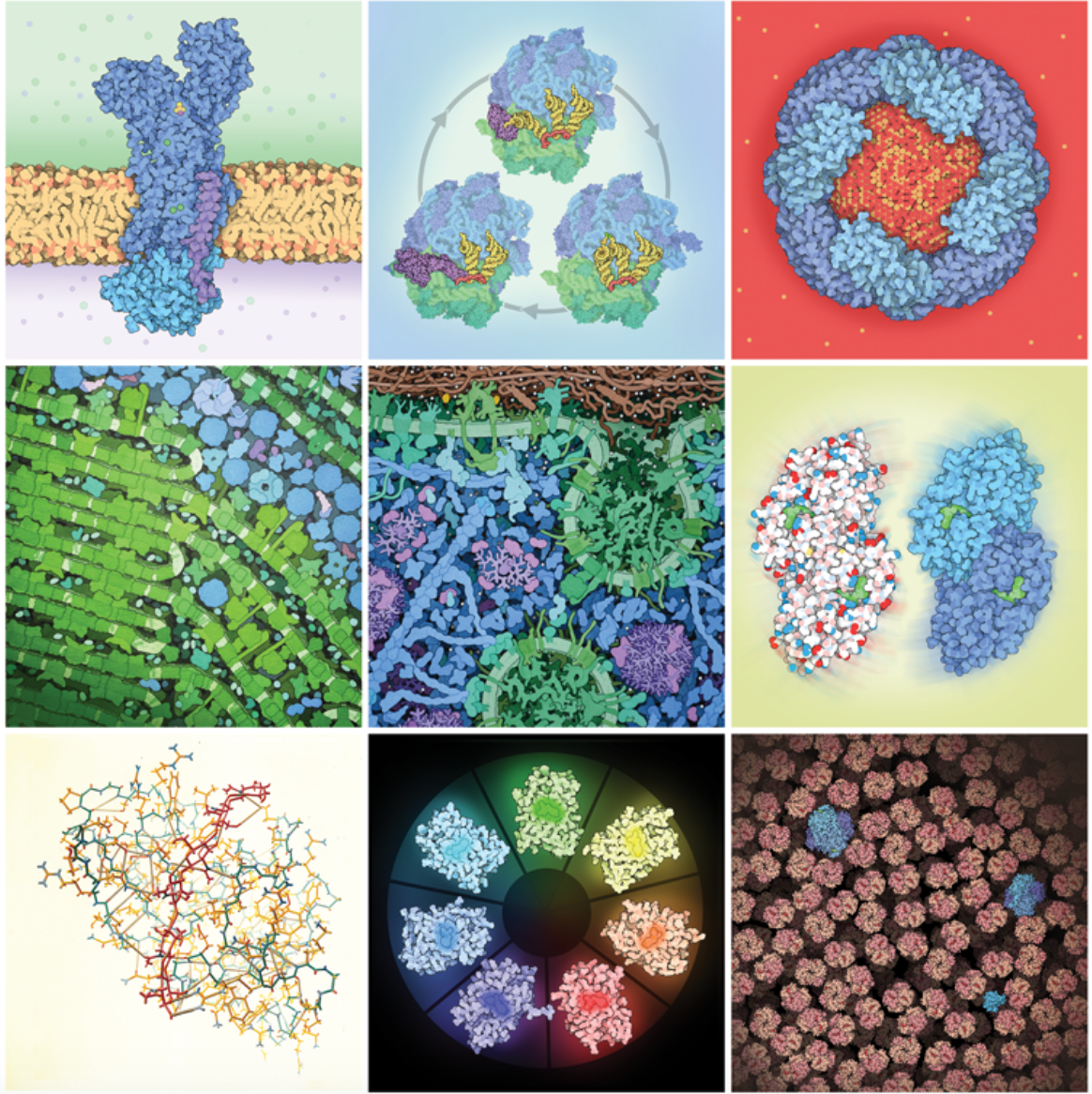 Molecules October-1 2020 - Browse Articles