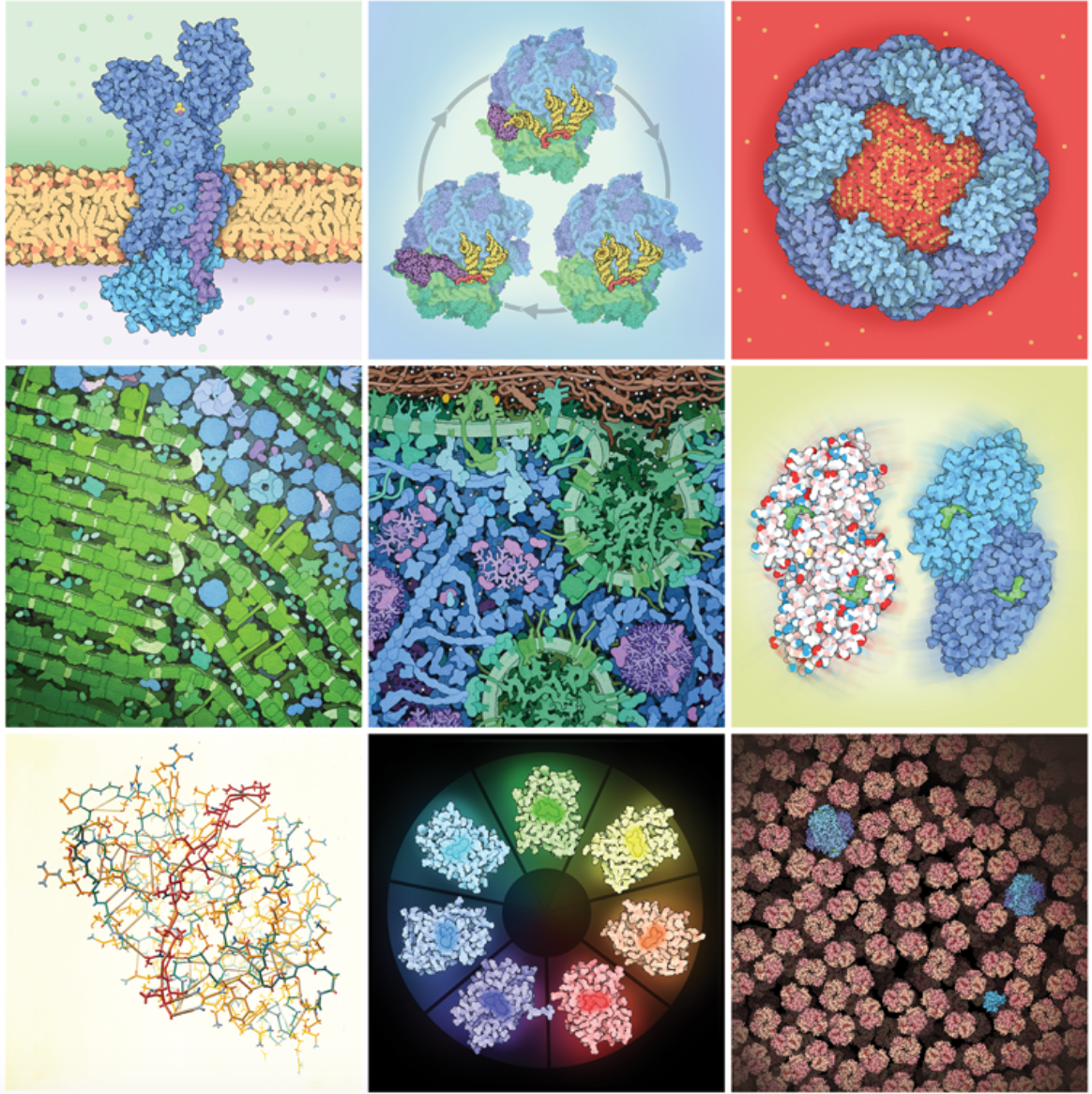 <a href="http://pdb101.rcsb.org/learn/flyers-posters-and-other-resources/calendar/2020-calendar-20-years-of-molecule-of-the-month">Download the calendar as a PDF, PowerPoint, or set of image files.</a>