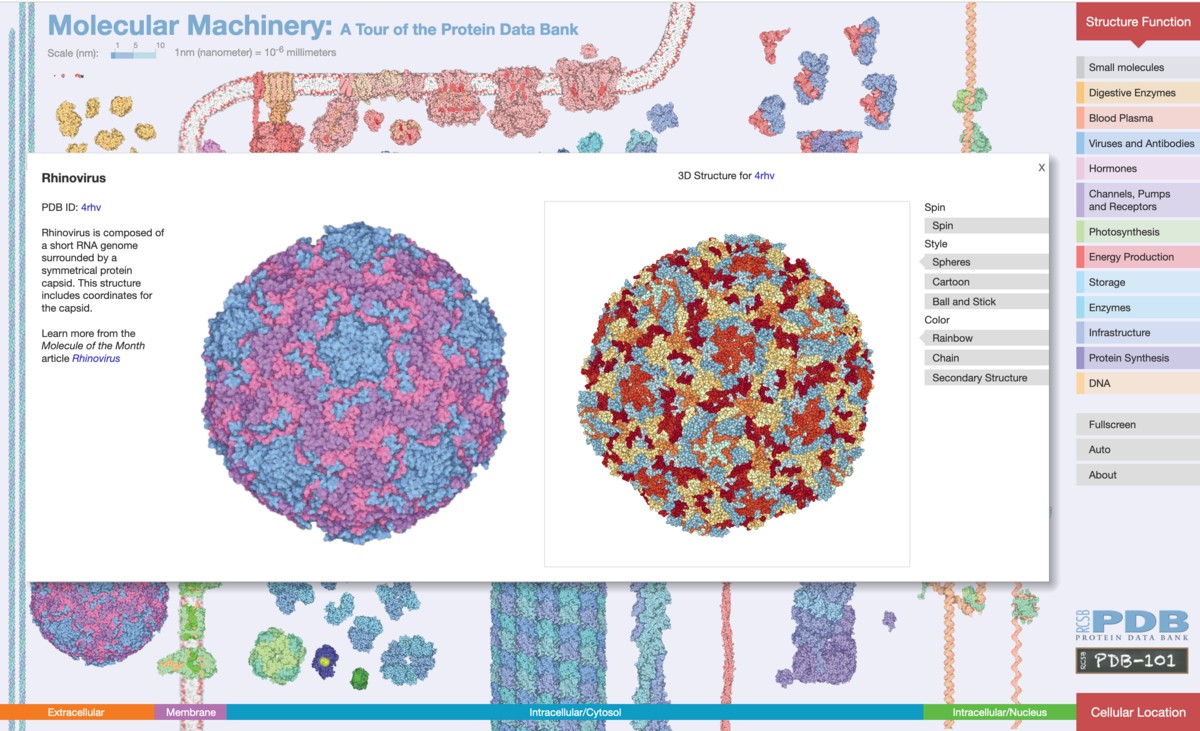 RCSB PDB News Image