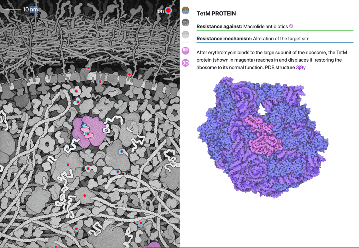 RCSB PDB News Image