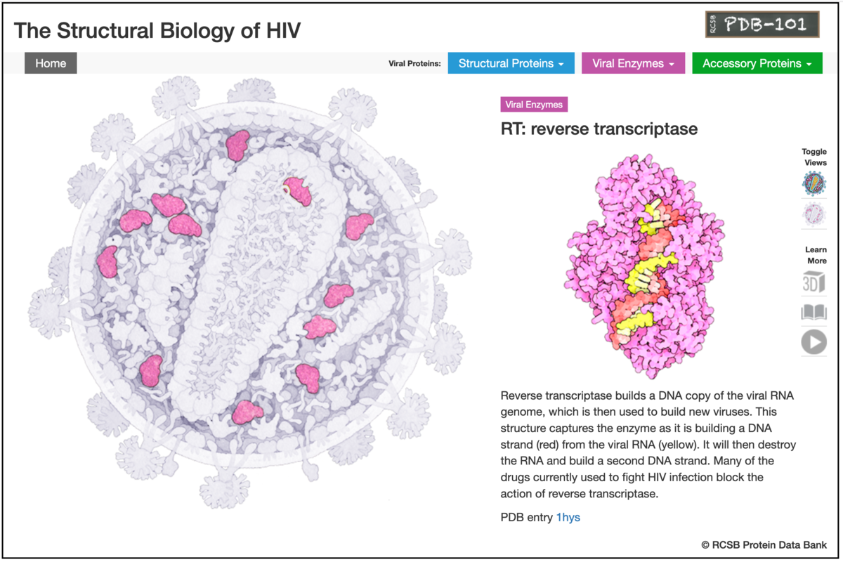 RCSB PDB News Image