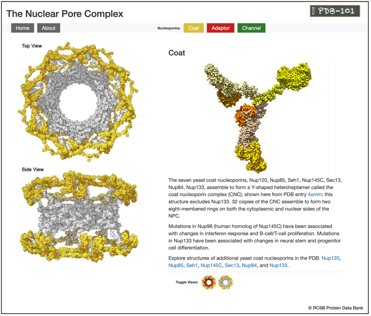 RCSB PDB News Image