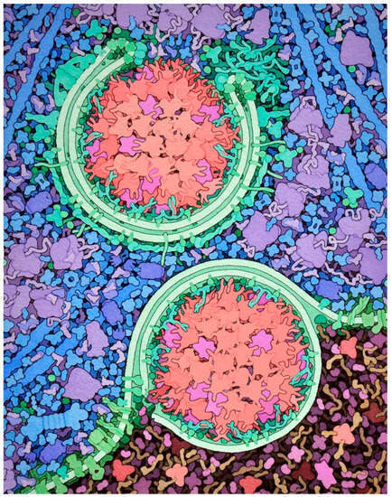 RCSB PDB News Image