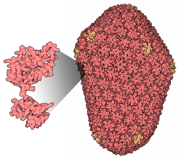 RCSB PDB News Image