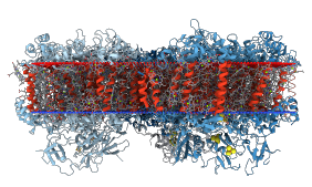 RCSB PDB News Image