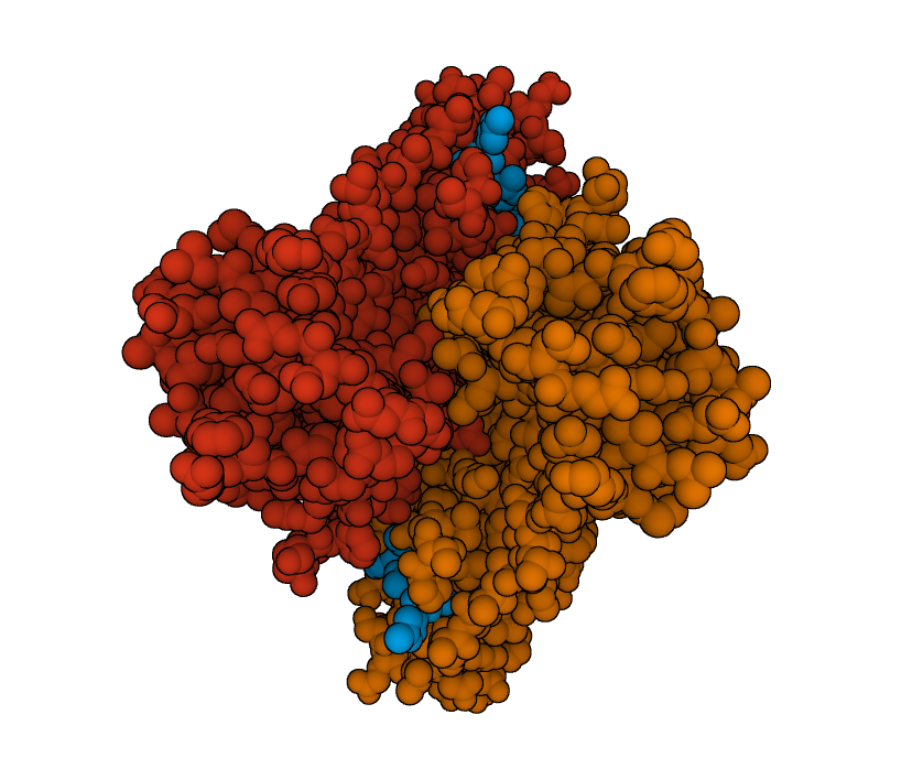 PDB structure <a href="https://www.rcsb.org/structure/6LU7">6lu7</a> Released 2020-02-05<BR>Zhenming Jin, Xiaoyu Du, Yechun Xu, Yongqiang Deng, Meiqin Liu, Yao Zhao, Bing Zhang, Xiaofeng Li, Leike Zhang, Chao Peng, Yinkai Duan, Jing Yu, Lin Wang, Kailin Yang, Fengjiang Liu, Rendi Jiang, Xinglou Yang, Tian You, Xiaoce Liu, Xiuna Yang, Fang Bai, Hong Liu, Xiang Liu, Luke W. Guddat, Wenqing Xu, Gengfu Xiao, Chengfeng Qin, Zhengli Shi, Hualiang Jiang, Zihe Rao, Haitao Yang<BR> Structure of Mpro from COVID-19 virus and discovery of its inhibitors. <I>bioRxiv</I> <BR>doi: <a href="http://dx.doi.org/10.1101/2020.02.26.964882">10.1101/2020.02.26.964882</a><BR>