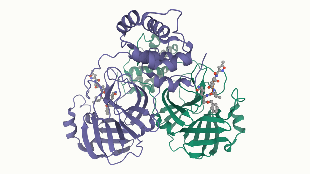 RCSB PDB News Image