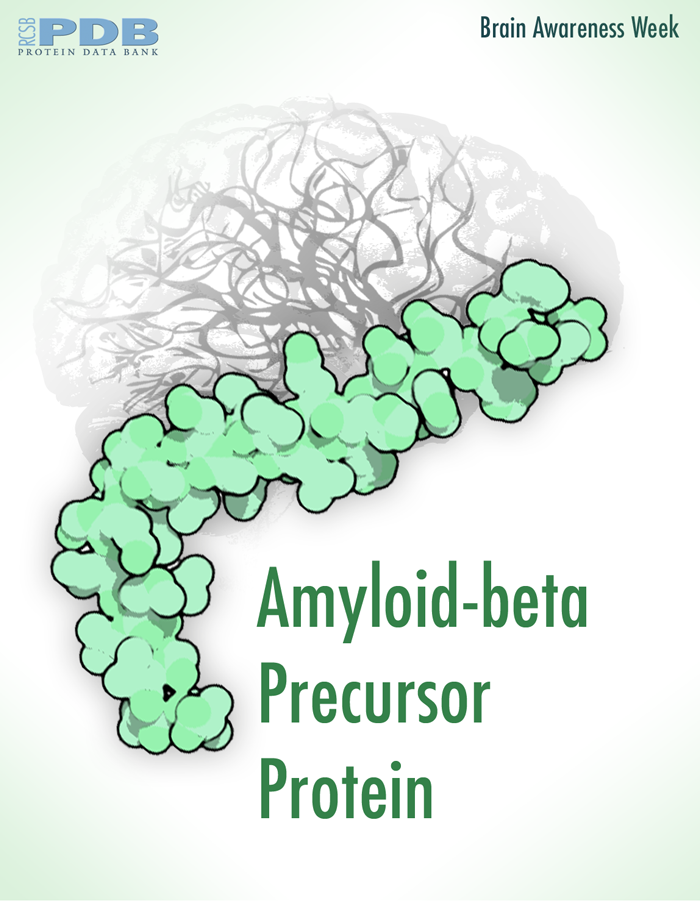 <a href="http://pdb101.rcsb.org/motm/79">Cell-clogging amyloids form when proteins improperly aggregate</a>