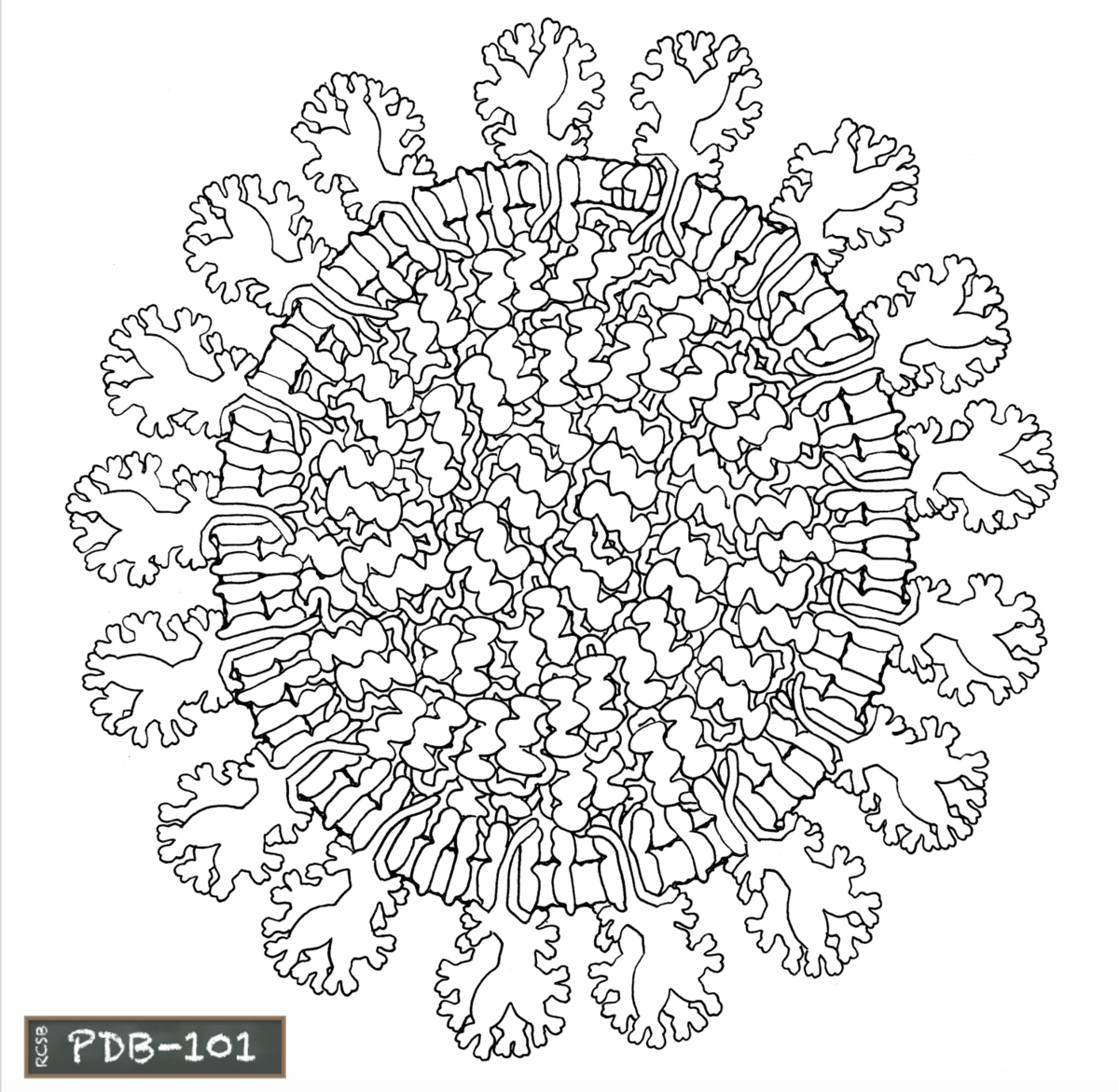 RCSB PDB News Image