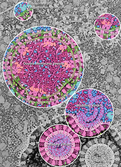 RCSB PDB News Image