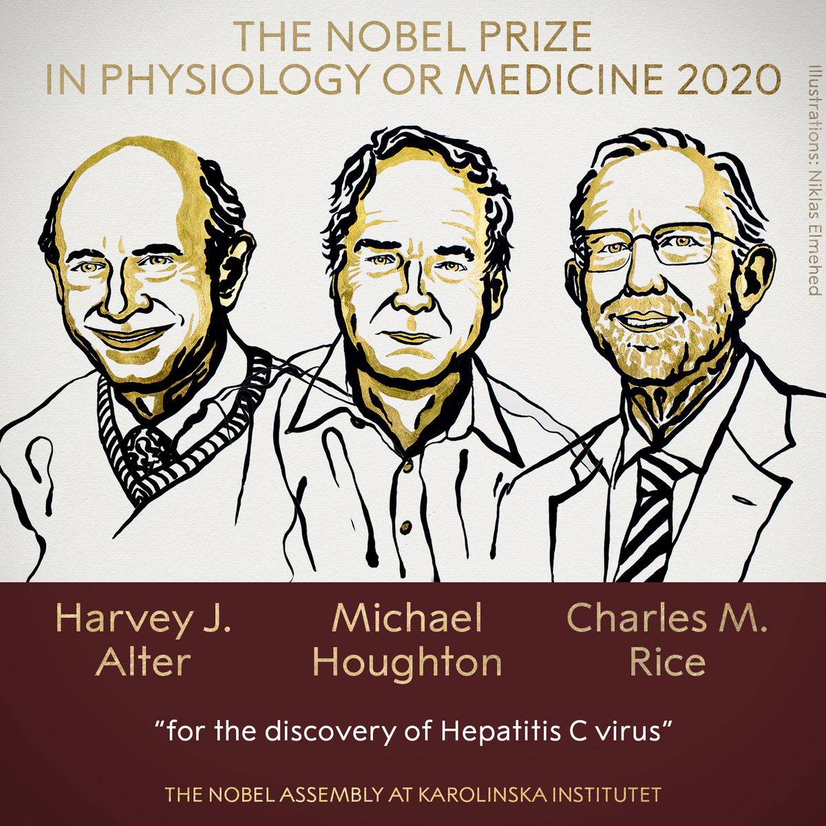 <a href="https://www.nobelprize.org/prizes/medicine/2020/summary/">The 2020 Nobel Prize in Physiology or Medicine has been awarded jointly to Harvey J. Alter, Michael Houghton and Charles M. Rice for the discovery of Hepatitis C virus.</a><P>