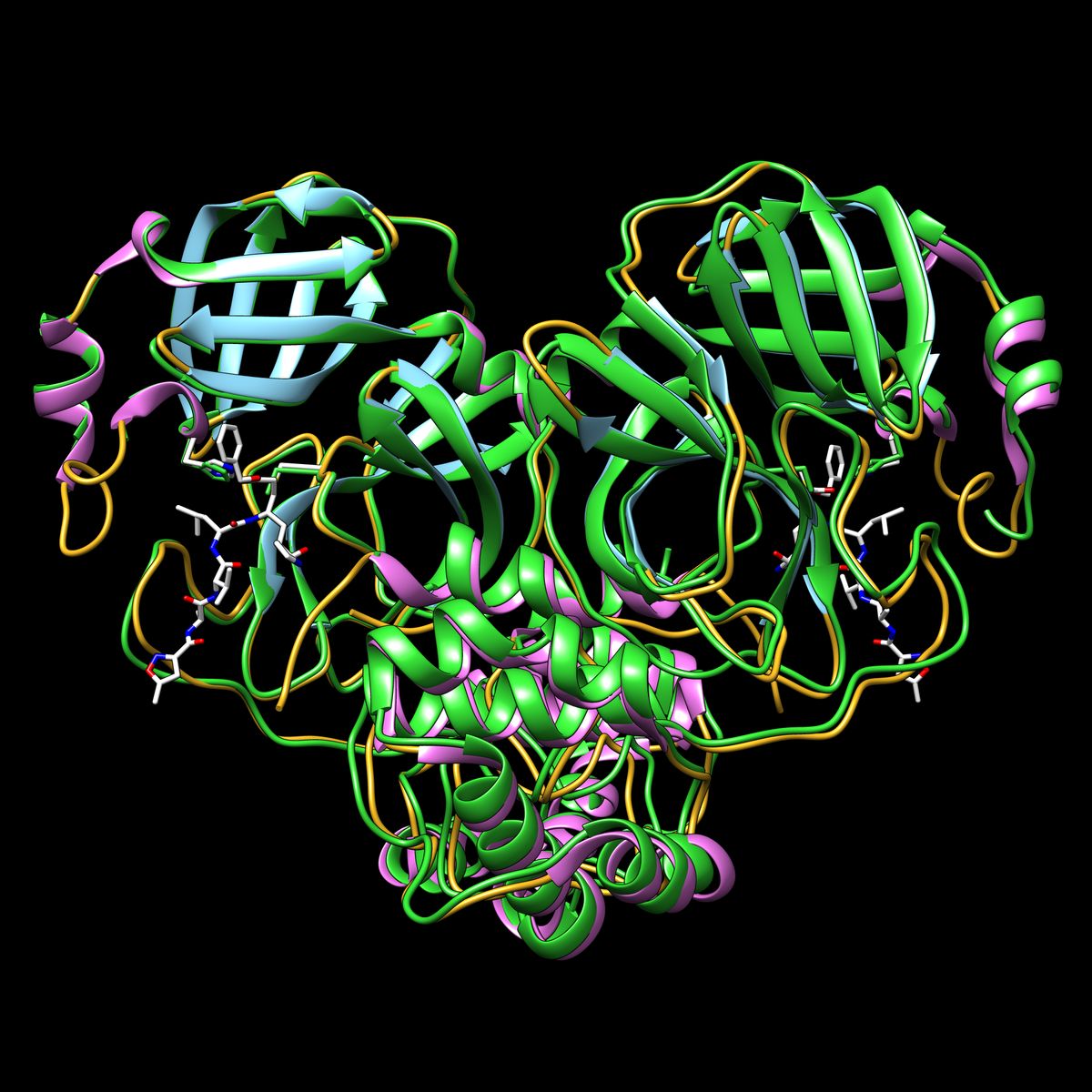 Structural similarity of the SARS-CoV-2  main protease (<a href="https://www.rcsb.org/structure/6LU7">PDB structure 6lu7</a>) and the SARS coronavirus main protease (<a href="https://www.rcsb.org/structure/1q2w">PDB structure 1q2w</a> in green)<BR>
<a href="https://youtu.be/APCadT6ynyI"><B>Video</B></a>