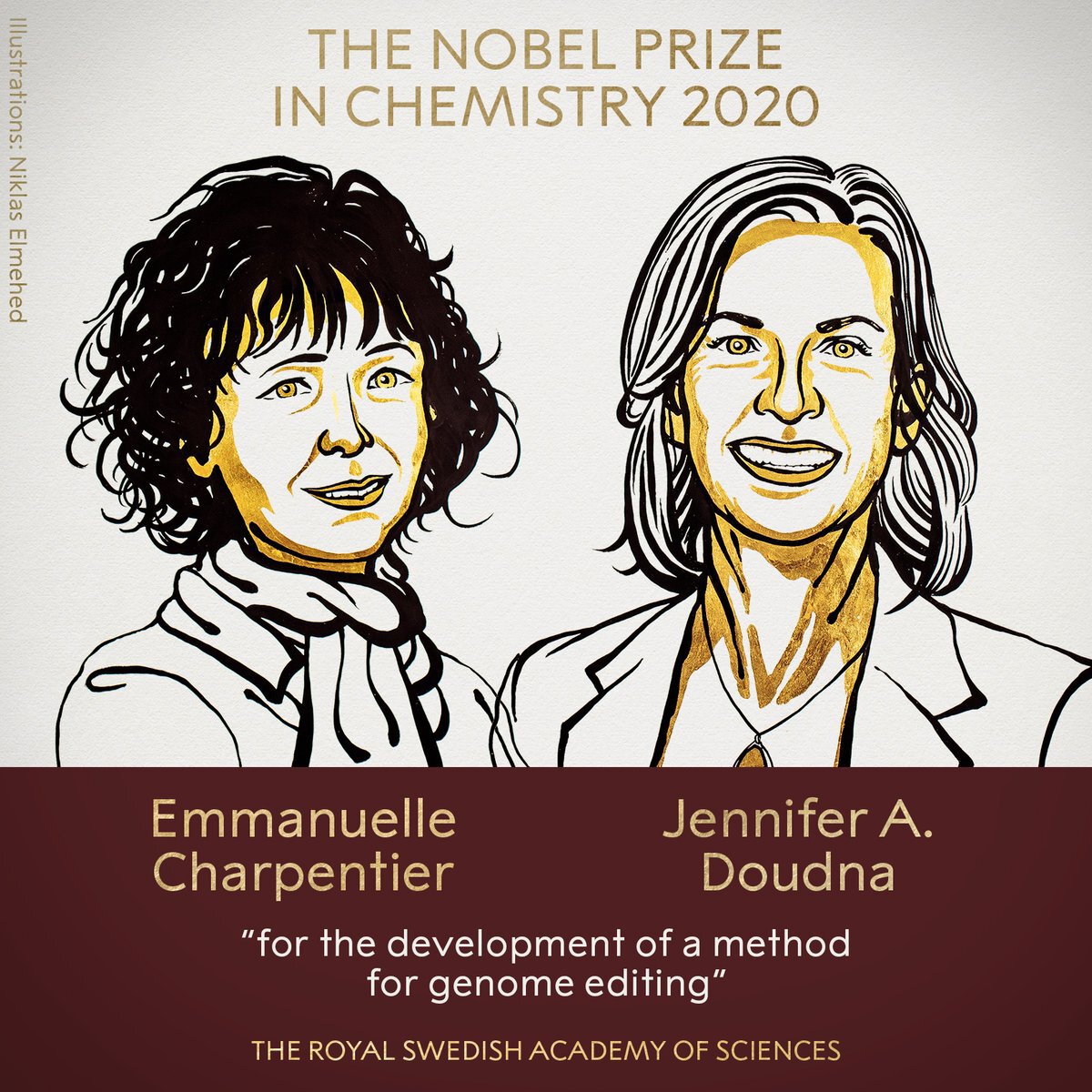 <a href="https://www.nobelprize.org/prizes/chemistry/2020/summary/">The 2020 Nobel Prize in Chemistry has been awarded jointly to Emmanuelle Charpentier and Jennifer A. Doudna for the development of a method for genome editing.</a><P>