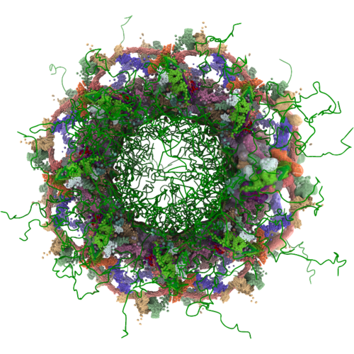 RCSB PDB News Image