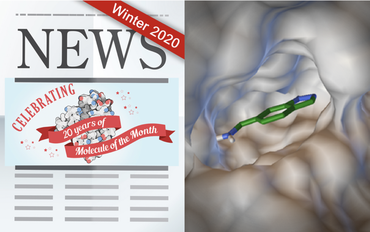 RCSB PDB News Image