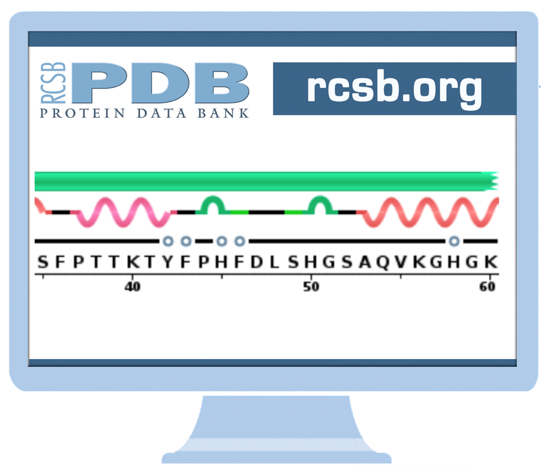 RCSB PDB News Image
