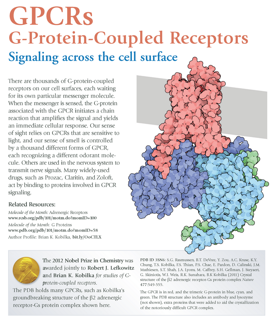 RCSB PDB News Image