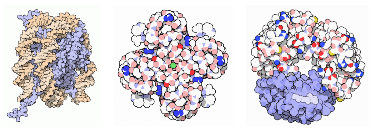 RCSB PDB News Image