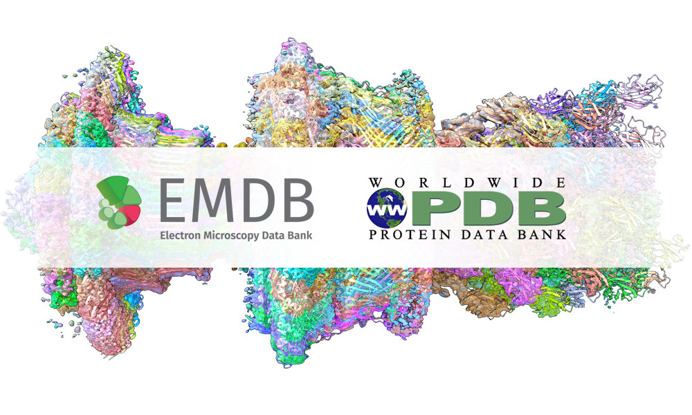 emdb