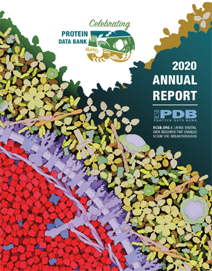 <a href="https://cdn.rcsb.org/rcsb-pdb/general_information/news_publications/annual_reports/annual_report_year_2020.pdf">Download the 2020 Annual Report PDF</a>