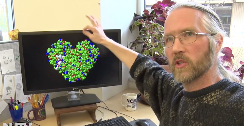 <a href="https://www.rutgers.edu/news/how-rutgers-team-working-crack-coronavirus-code">RCSB PDB Biocurator Dr. Brian P. Hudson</a> talking about the SARS-CoV-2 main protease in February 2020