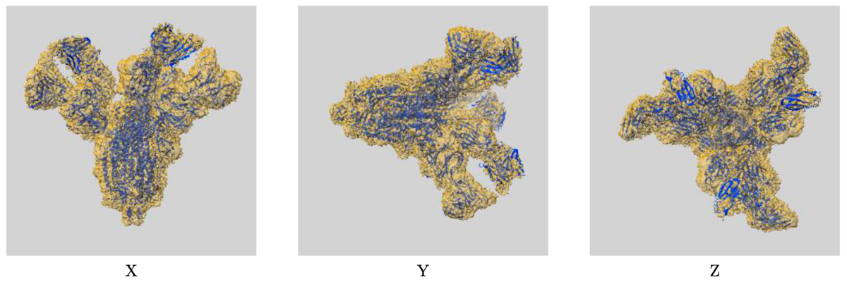 Example of map-model overlay image: EMD-30388/7CWU, SARS-CoV-2 spike proteins trimer in complex with P17 and FC05 Fabs cocktail