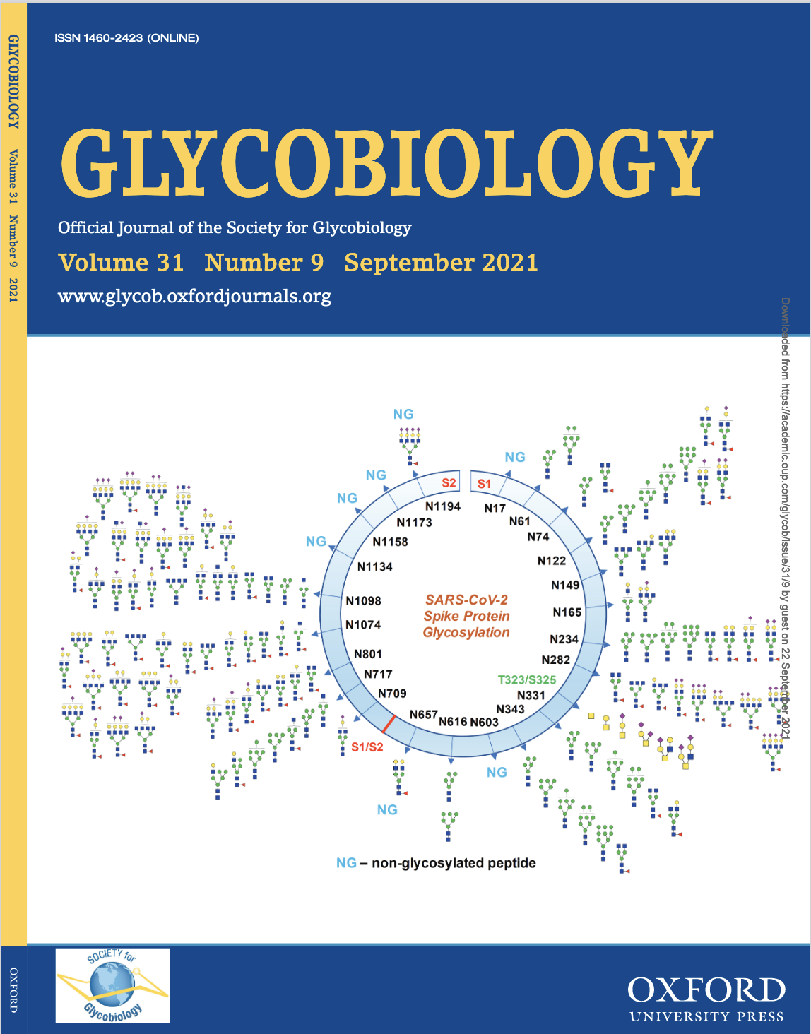 <I>Glycobiology</I>