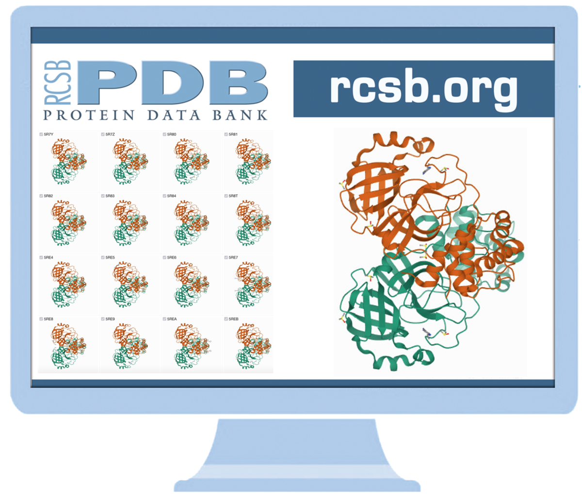 "Group" summary pages and search results simplify exploration of PDB structures with similar sequence identity/UniProt ID or were deposited as part of the same study