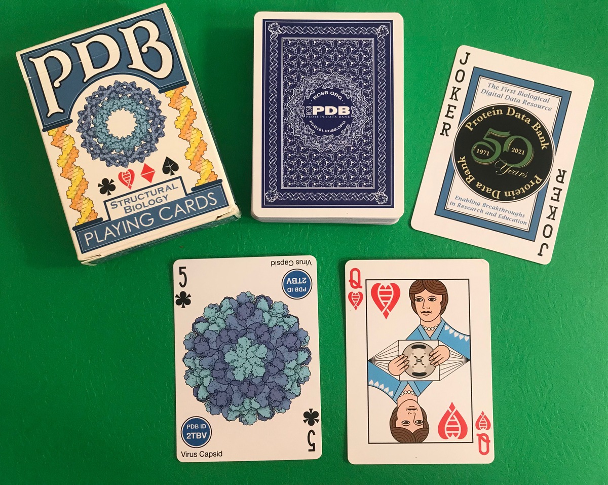 <a href="https://www.surveymonkey.com/r/65WVGB7">Enter to win a set of Structural Biology Playing Cards</a>
