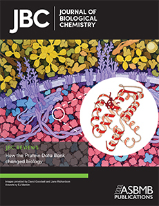 <a href="https://www.jbc.org/thematic-how-the-protein-data-bank-changed-biology">The other special collection contains 17 reviews highlighting the impact of the PDB archive across biological chemistry.