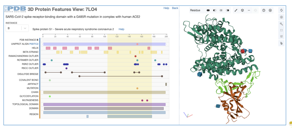 <a href="https://www.rcsb.org/3d-sequence/7LO4">3D Protein Feature View for PDB structure 7LO4, SARS-CoV-2 spike receptor-binding domain with a G485R mutation in complex with human ACE2</a>