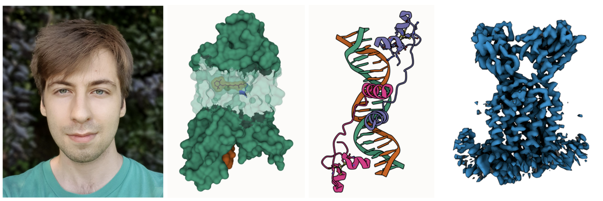 Photo of Áron; Partial transparency revealing retinal and surrounding channels in 3PQR; Stylized depiction of PDB ID 1D66 with crisp outlines; and Cryo-EM density of EMD-12604 with shadowing of occluded crevices.