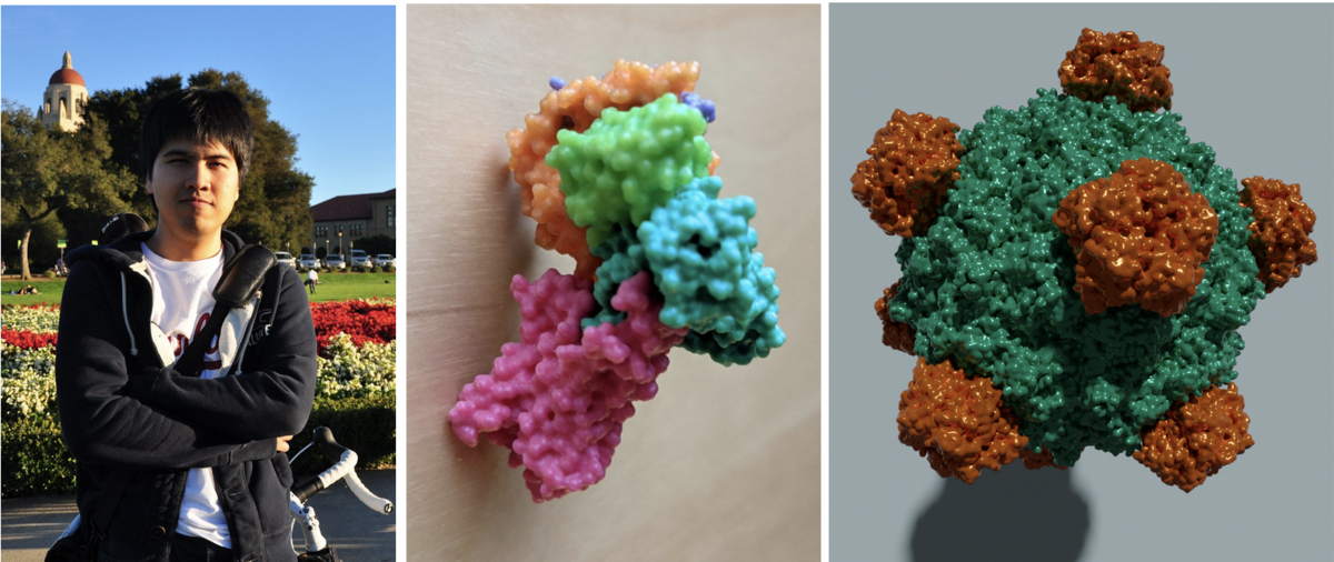 Photo of Sukolsak. 3D printed model of PDB ID 3SN6. High quality image of PDB ID 1RB8 rendered with the free and open source tool <a href="https://www.blender.org/">Blender</a>.