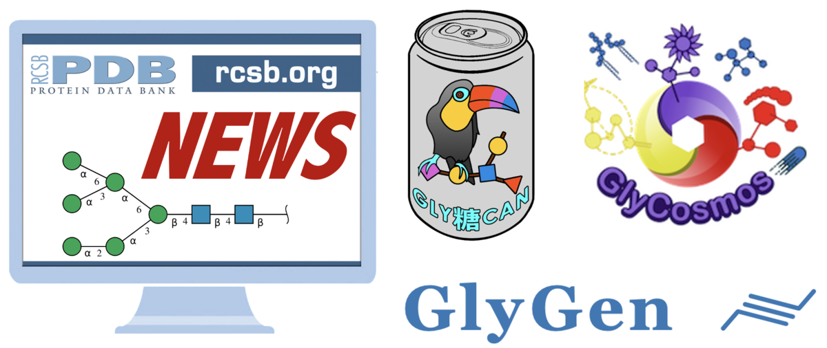 RCSB.org users can now access information from GlyTouCan, GlyCosmos, and GlyGen