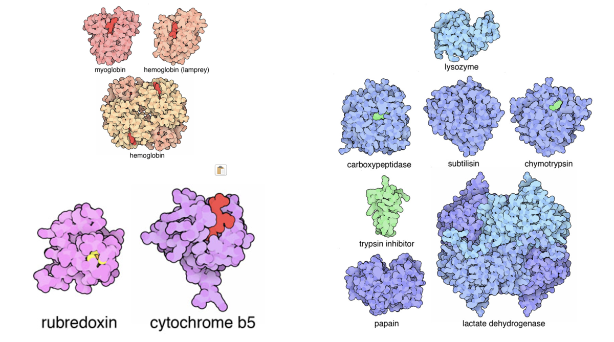 PDB Pioneer Structures