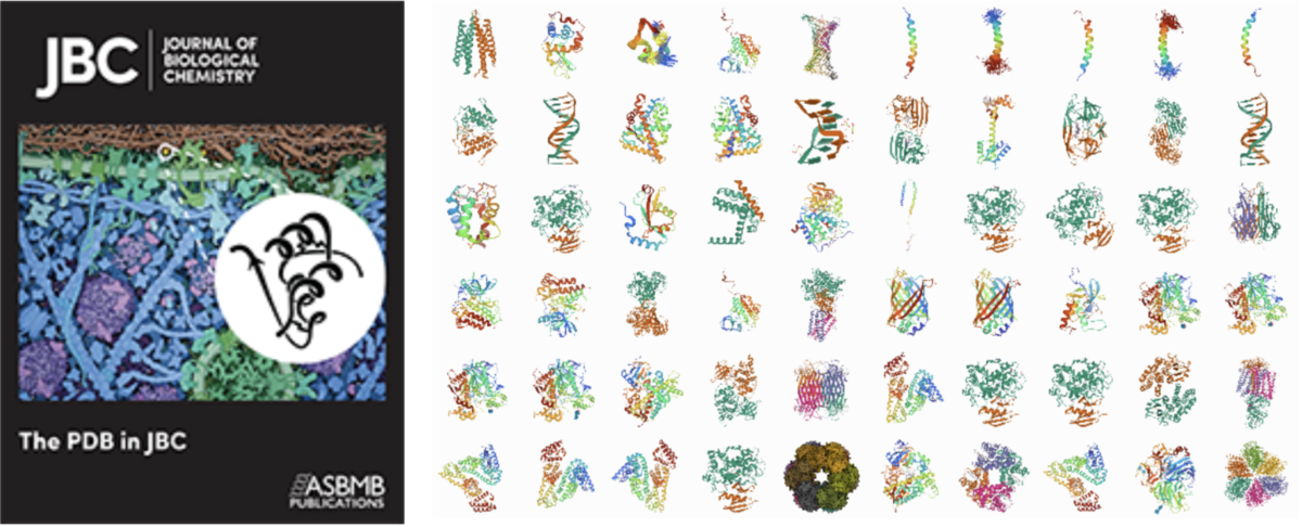 <a href="https://www.rcsb.org/pages/PDB-structures-in-JBC">Access milestone PDB structures published in the <I>Journal of Biological Chemistry</I></a>