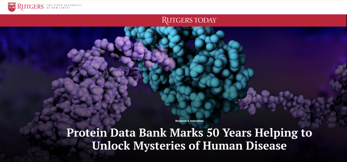 <a href="https://www.rutgers.edu/news/protein-data-bank-marks-50-years-lifesaving-scientific-collaboration-and-coordination">Read about the Protein Data Bank at <I>Rutgers Today</I></a>