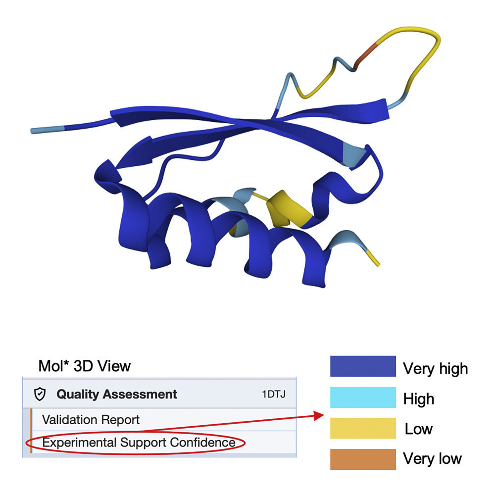 <I>Mol* view of PDB structure <a href="https://www.rcsb.org/3d-view/1DTJ">1dtj</a>.  To select this coloring scheme, select the “Experimental Support Confidence” option under Quality Assessment.</I>