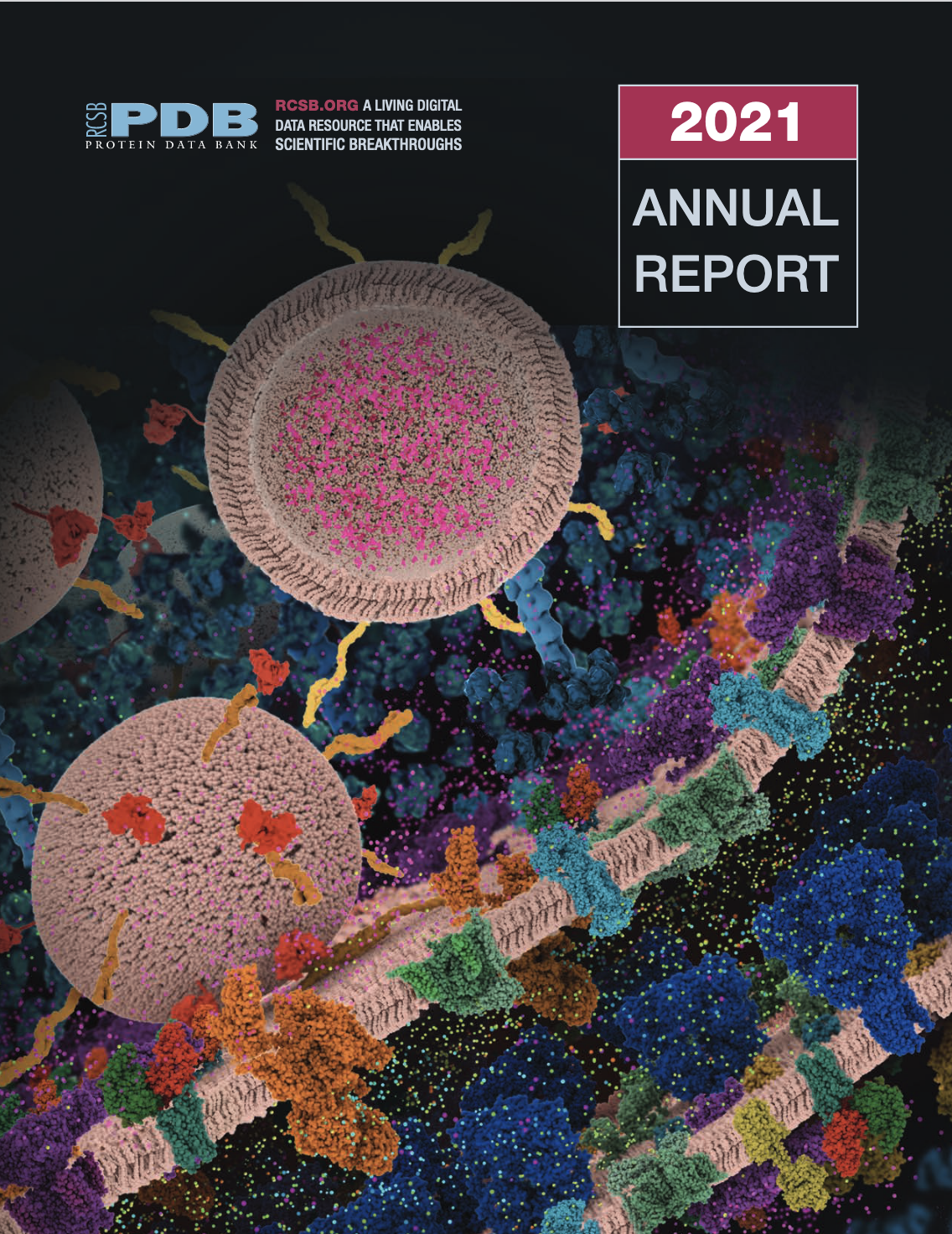 <a href="https://cdn.rcsb.org/rcsb-pdb/general_information/news_publications/annual_reports/annual_report_year_2021.pdf">Download the 2021 Annual Report PDF</a>