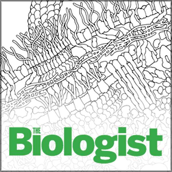 <a href="https://pdb101.rcsb.org/learn/coloring-books/the-biologist-magazine-big-biochemical-colouring-in-series">Download this image of a flagellar motor from PDB-101</a>