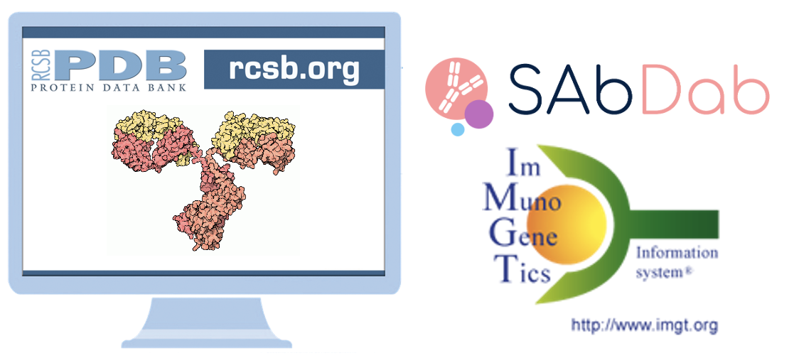 Information from SAbDab and the international ImMunoGeneTics information system is mapped to antibody structures in the PDB
