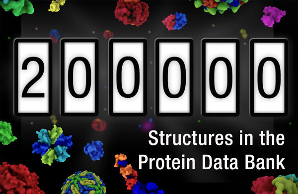 200,000 structures in the PDB