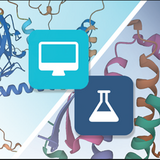 Rcsb Pdb Homepage Rcsb Pdb Homepage