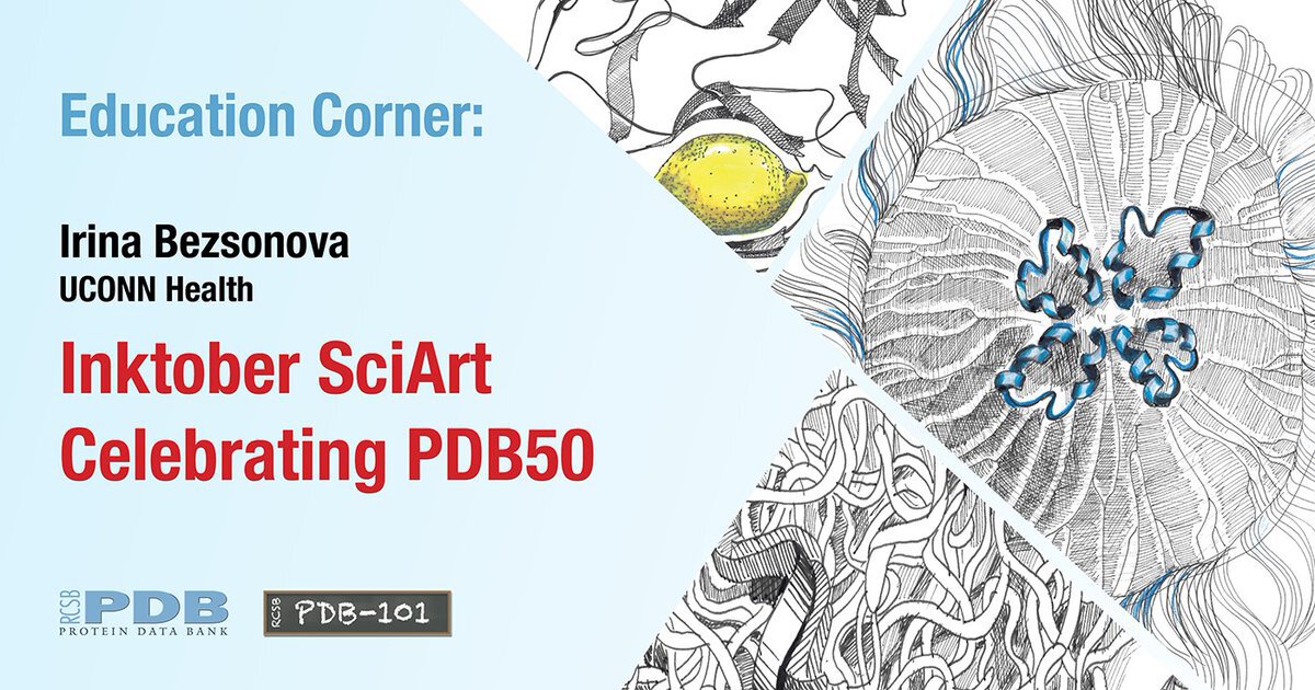 Published quarterly, each <a href="https://pdb101.rcsb.org/learn/education-corner">Education Corner</a> describes of how community members use the PDB and related resources.<BR>
Contact <A href="mailto:info@rcsb.org">info@rcsb.org</a> to contribute.