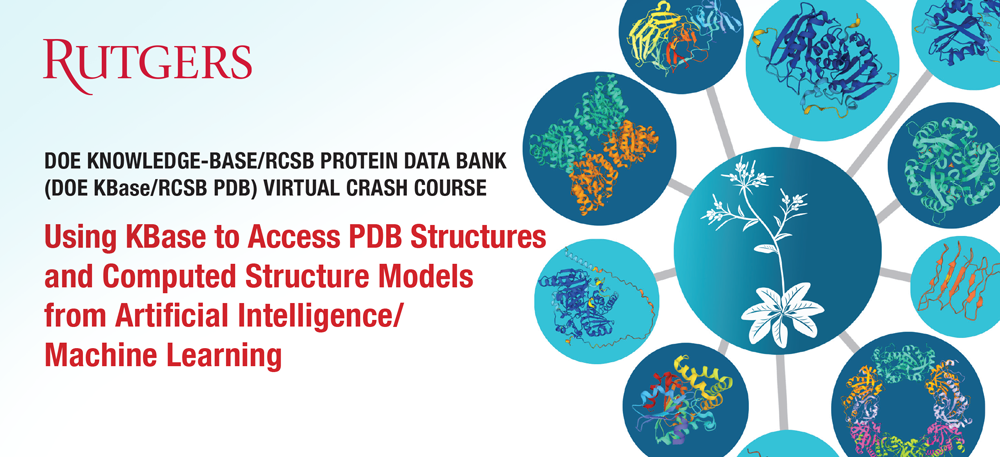 Watch videos from <I>Virtual Crash Course: Using K-Base to access PDB Structures and CSMs</I>