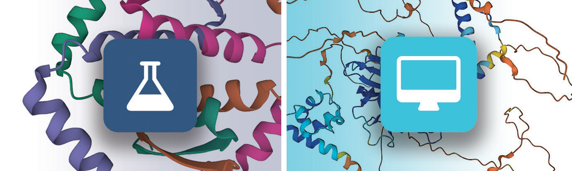 Left: flask icon indicates an experimental PDB structure; Right: computer icon indicates a CSM