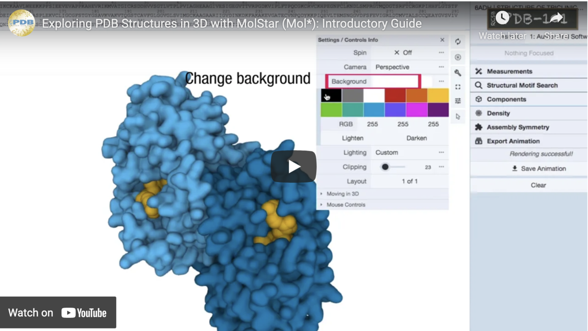 The Future of Molecular Visualization