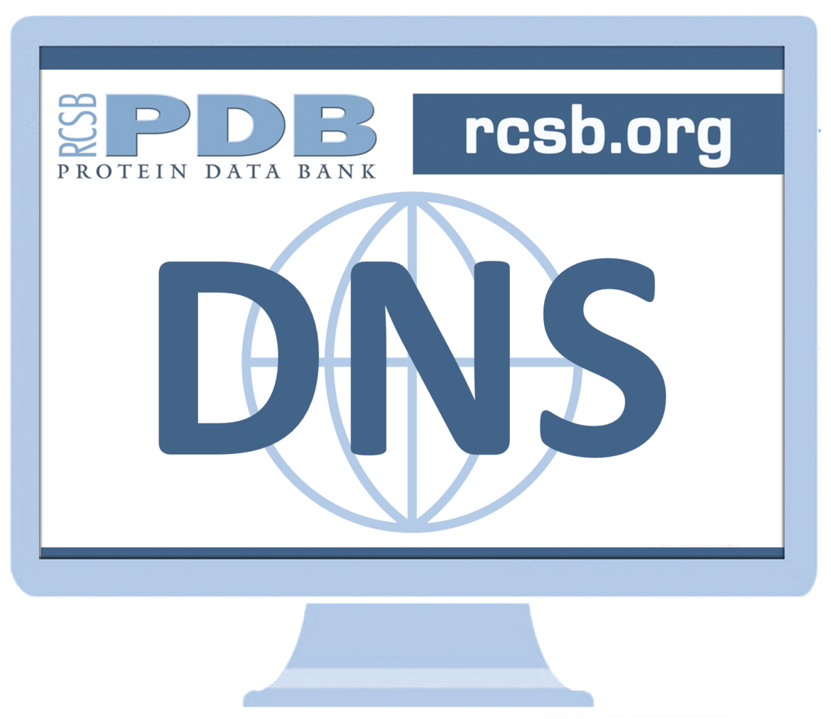 DNS Icon Logo PNG vector in SVG, PDF, AI, CDR format